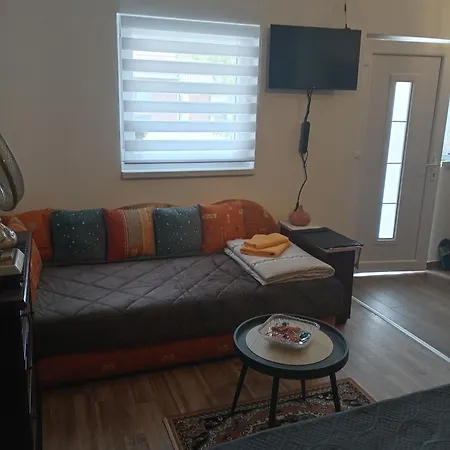 Domacinstvo Pocikini * Zasavica