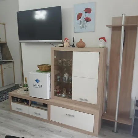 カントリーハウス Domacinstvo Pocikini *