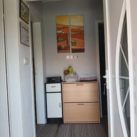 Domacinstvo Pocikini Venkovský dům Zasavica