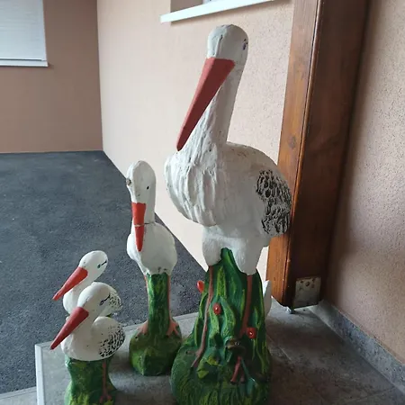 Domacinstvo Pocikini *