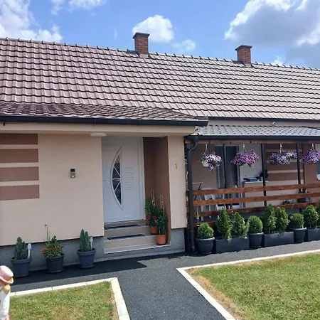 Domacinstvo Pocikini