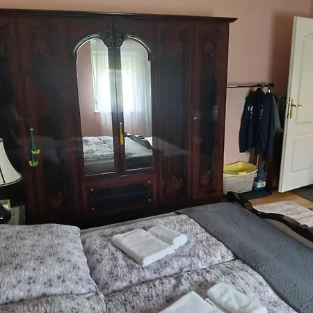 Domacinstvo Pocikini *