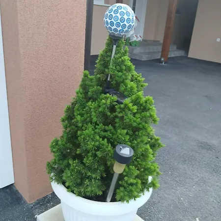 Domacinstvo Pocikini Zasavica