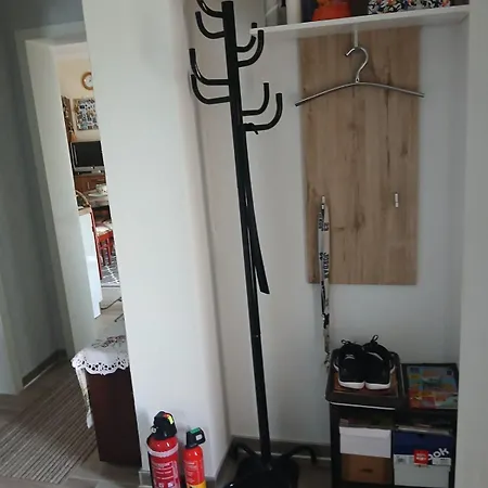 Domacinstvo Pocikini